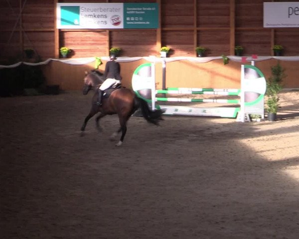 Reitturnier Xanten - Reitanlage Miss 2022