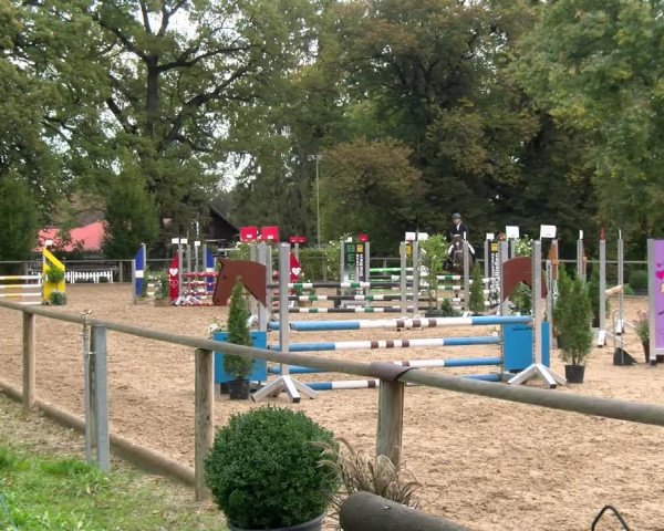 Reitturnier Diessen 2022
