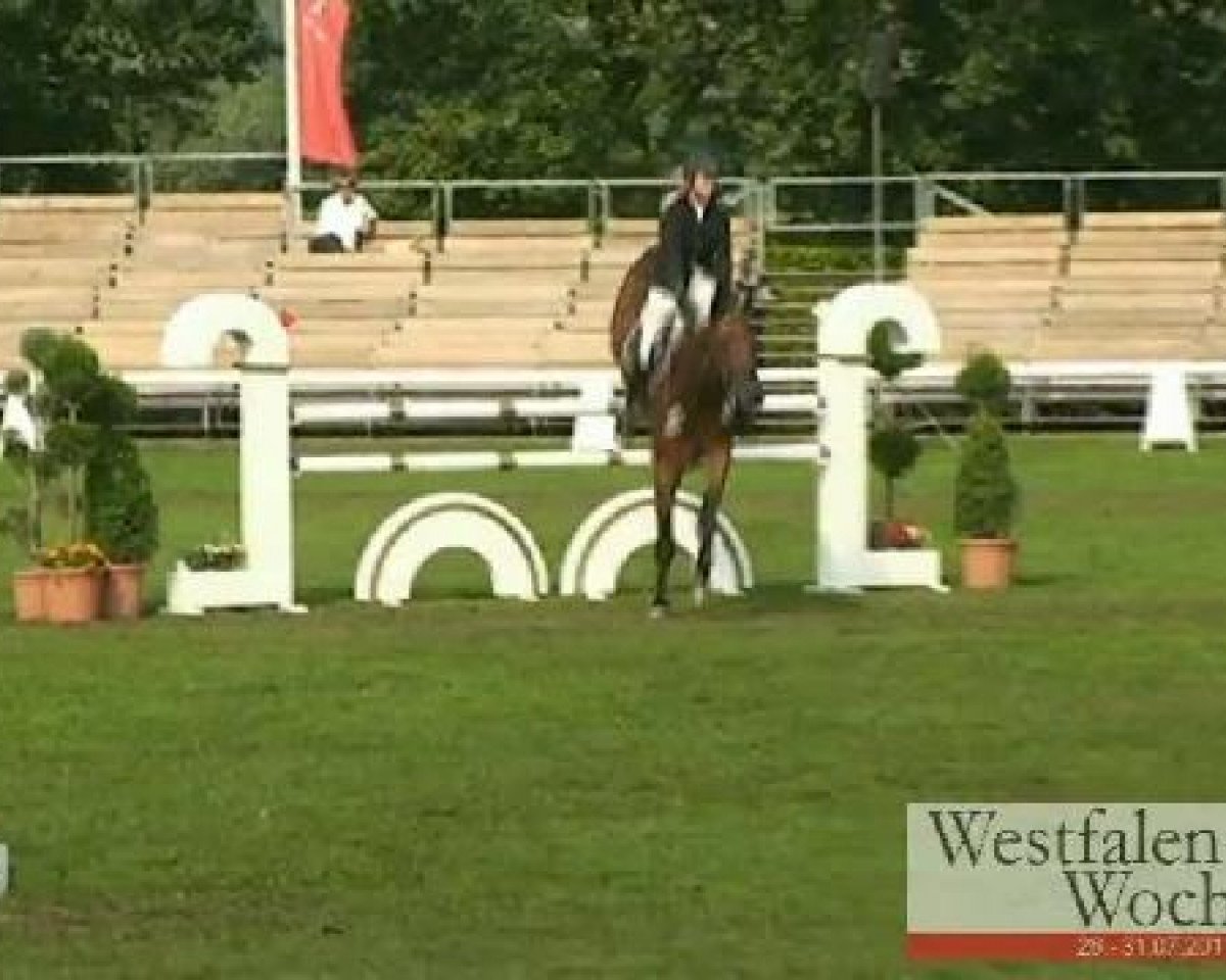 jumper Der Stern (Westphalian, 2006, from Lordanos)