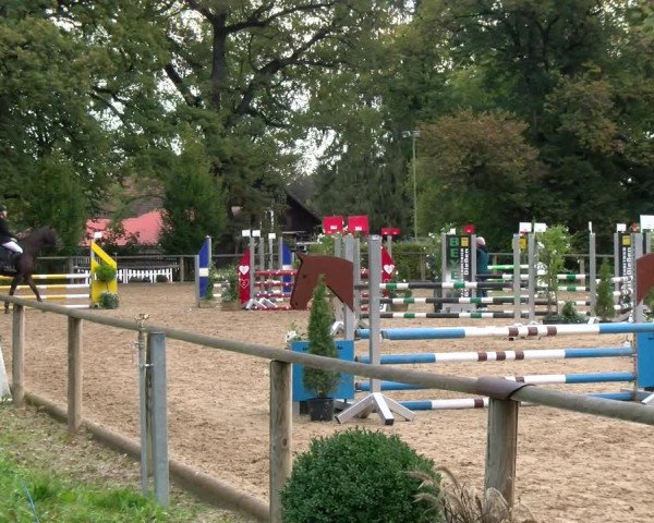 Reitturnier Diessen 2022