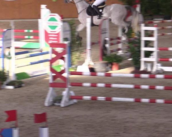 Reitturnier Xanten - Reitanlage Miss 2022