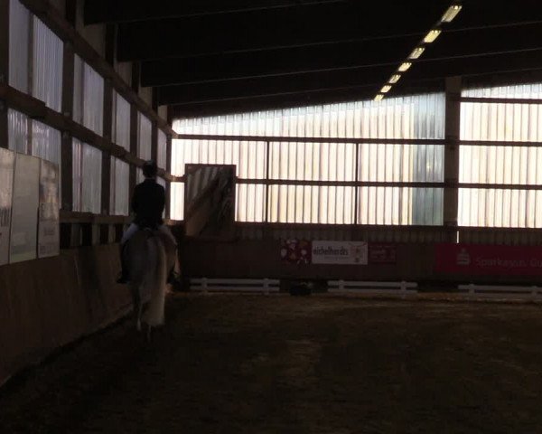 Reitturnier Werdohl-Rentrop 2022