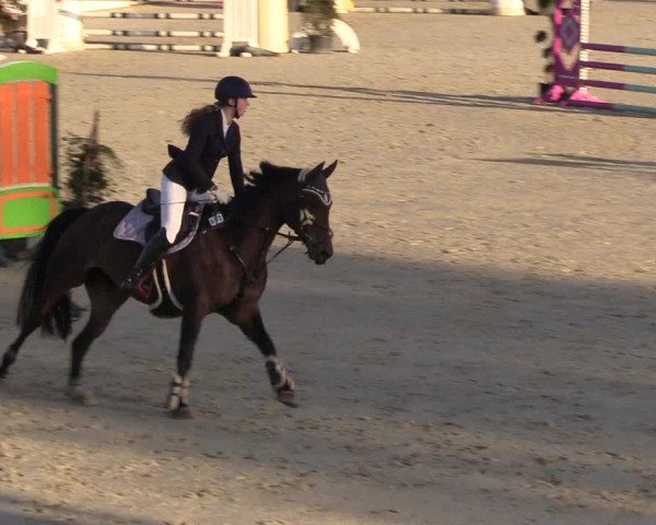 Reitturnier Westergellersen 2022