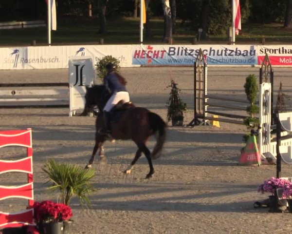 Reitturnier Westergellersen 2022