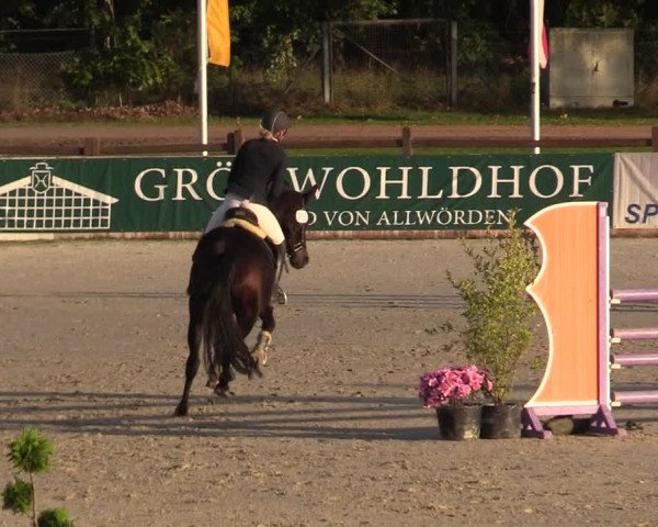 Reitturnier Westergellersen 2022