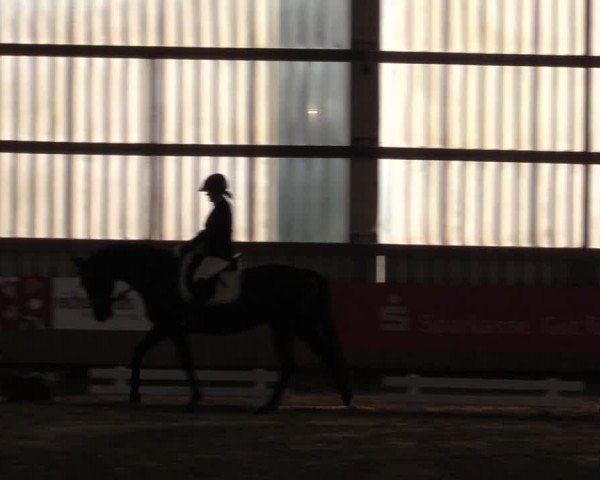 Reitturnier Werdohl-Rentrop 2022