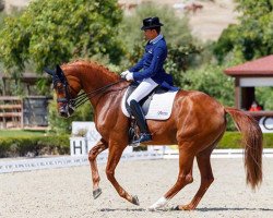 dressage horse Divina Royal (Hanoverian, 2010, from Desperados FRH)