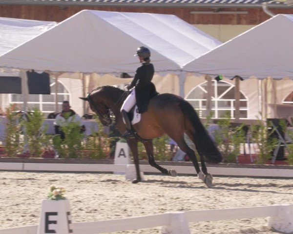 Reitturnier Troisdorf - Haus Rott 2022