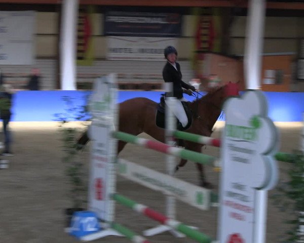 Reitturnier Isterberg Euregio Springturnier 2022