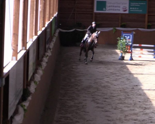 Reitturnier Xanten - Reitanlage Miss 2022