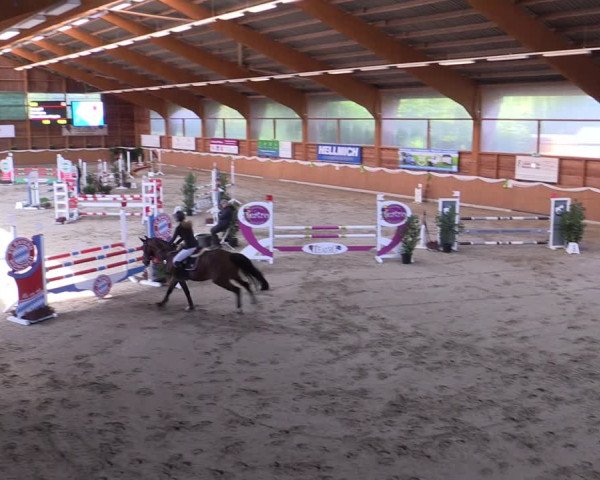 Reitturnier Xanten - Reitanlage Miss 2022