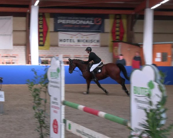 Reitturnier Isterberg Euregio Springturnier 2022