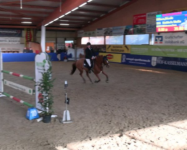 Reitturnier Isterberg Euregio Springturnier 2022