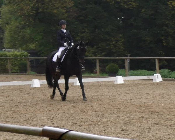 Reitturnier Diessen 2022