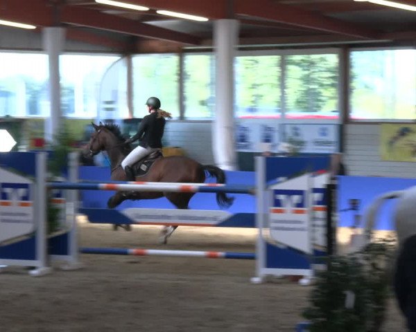 Reitturnier Isterberg Euregio Springturnier 2022