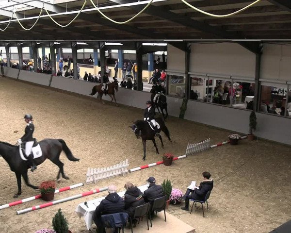 Reitturnier Legden 2022