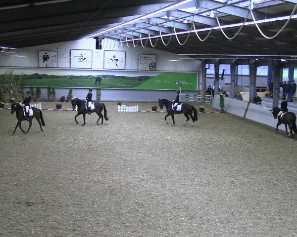Reitturnier Legden 2022