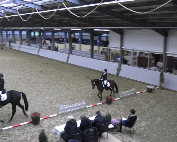Reitturnier Legden 2022