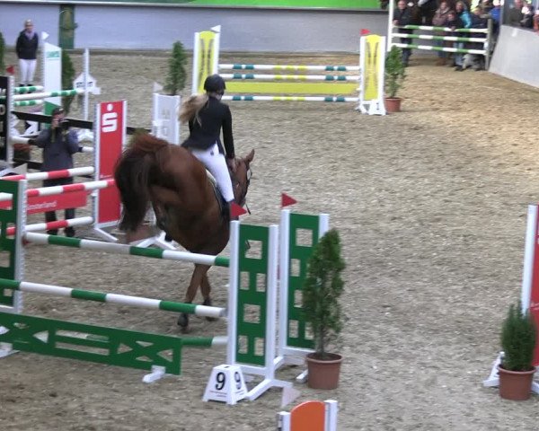Reitturnier Legden 2022