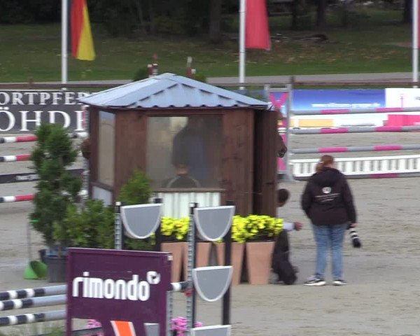 Reitturnier Westergellersen 2022