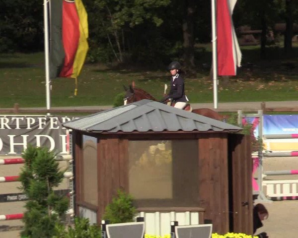 Reitturnier Westergellersen 2022