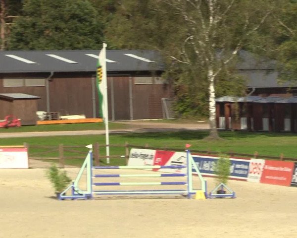 Reitturnier Westergellersen 2022