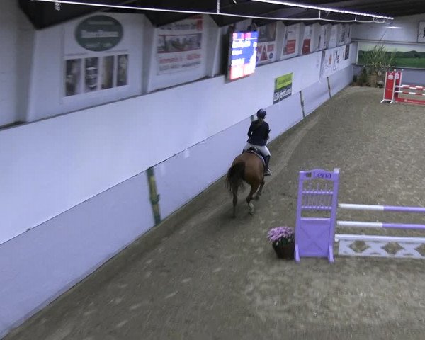 Reitturnier Legden 2022