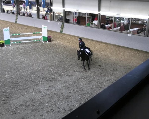 Reitturnier Legden 2022