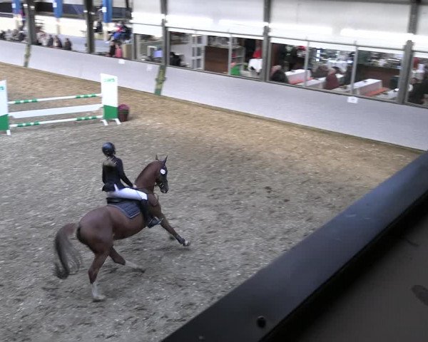 Reitturnier Legden 2022