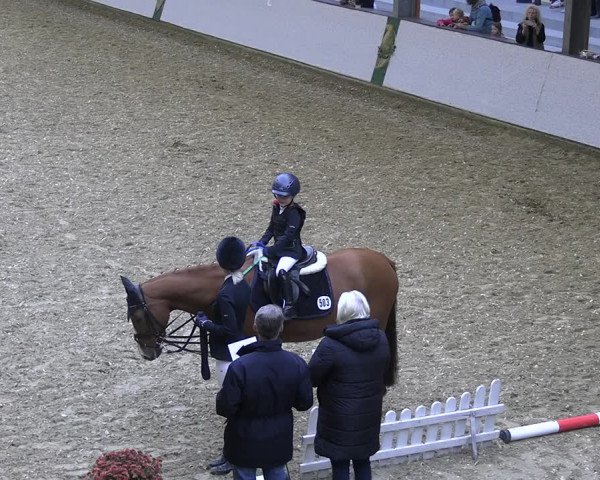 Reitturnier Legden 2022