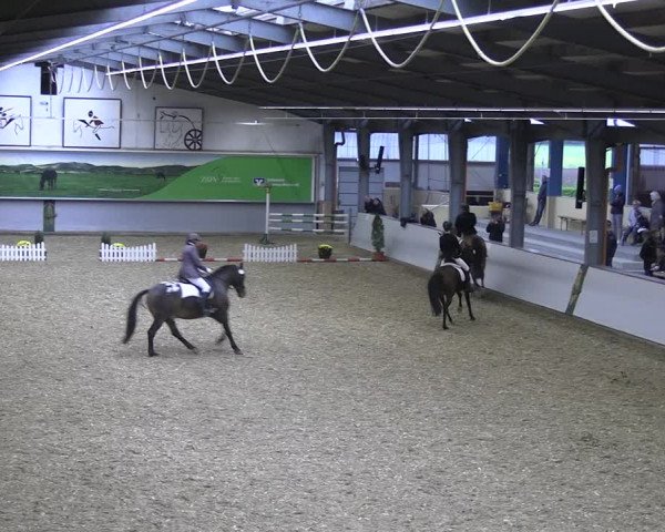 Reitturnier Legden 2022