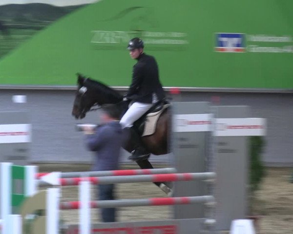Reitturnier Legden 2022