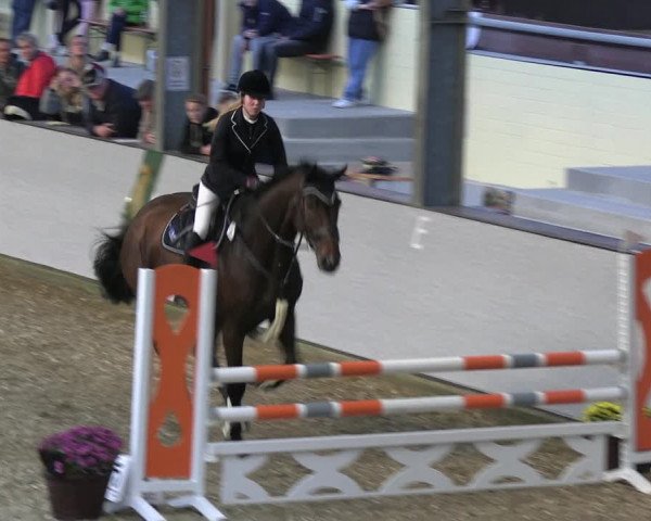 Reitturnier Legden 2022