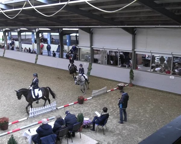 Reitturnier Legden 2022