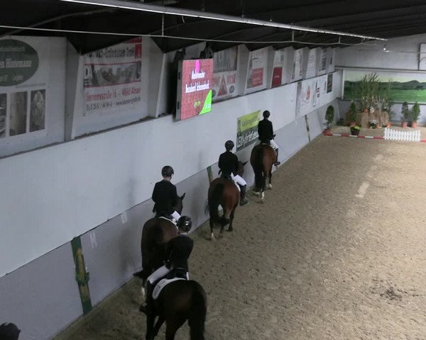 Reitturnier Legden 2022