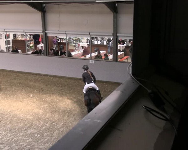 Reitturnier Legden 2022