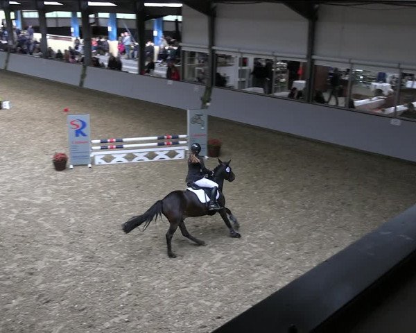 Reitturnier Legden 2022