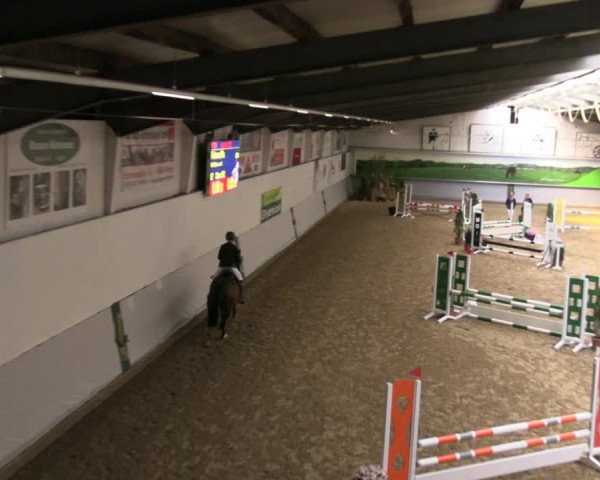Reitturnier Legden 2022