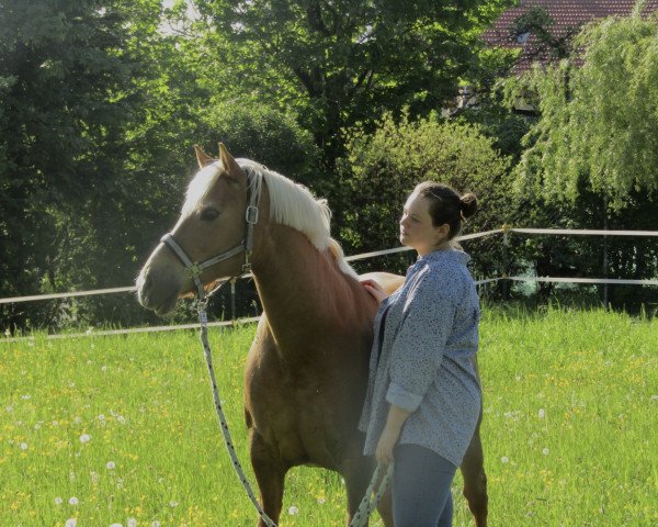 Romy Hartmann