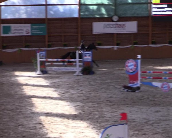 Reitturnier Xanten - Reitanlage Miss 2022