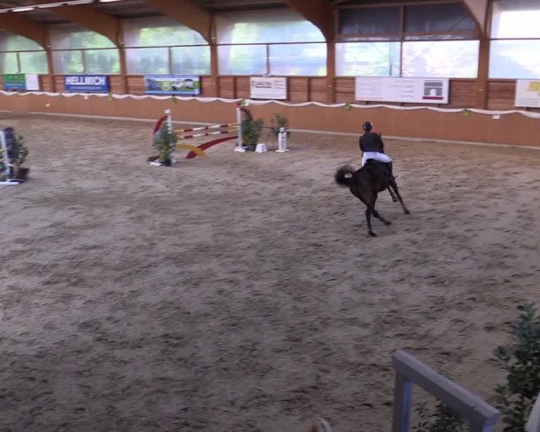 Reitturnier Xanten - Reitanlage Miss 2022