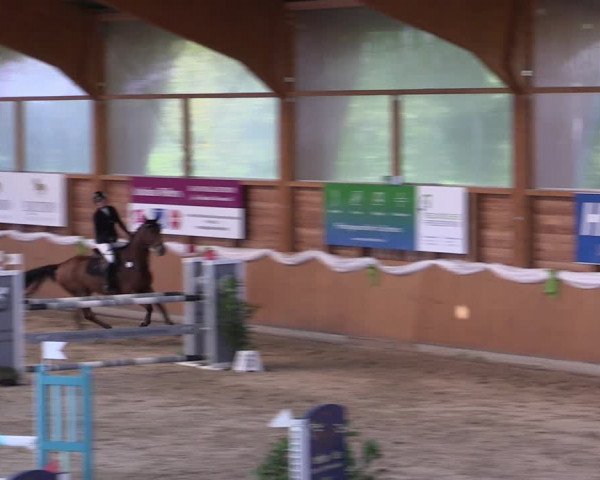 Reitturnier Xanten - Reitanlage Miss 2022