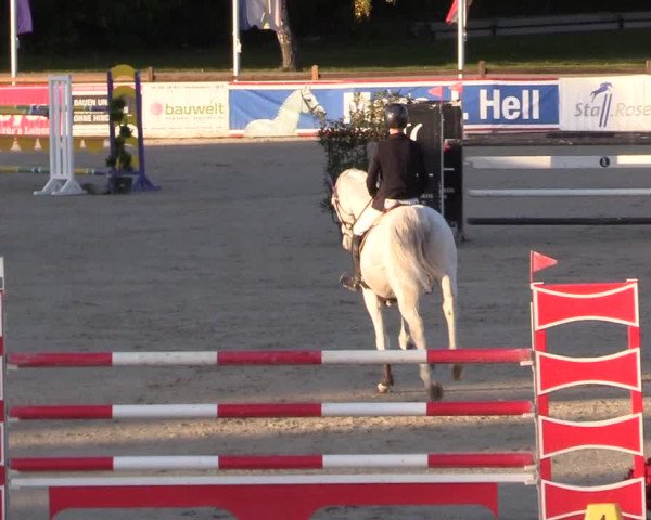 Reitturnier Westergellersen 2022