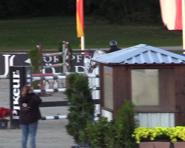 Reitturnier Westergellersen 2022