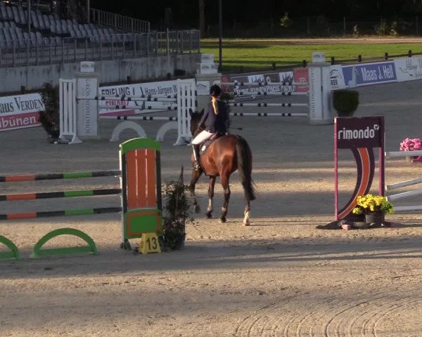 Reitturnier Westergellersen 2022