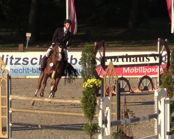 Reitturnier Westergellersen 2022