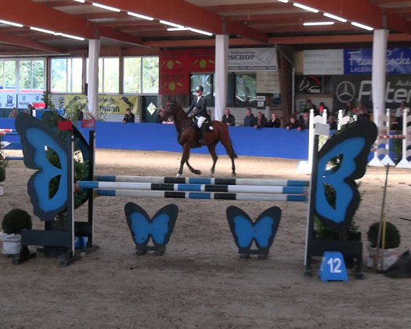 Reitturnier Isterberg Euregio Springturnier 2022