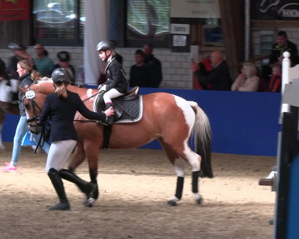 Reitturnier Isterberg Euregio Springturnier 2022