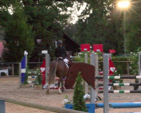 Reitturnier Diessen 2022
