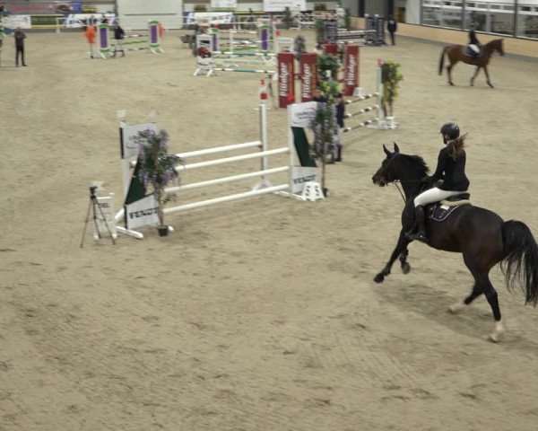 Reitturnier Borken 2022